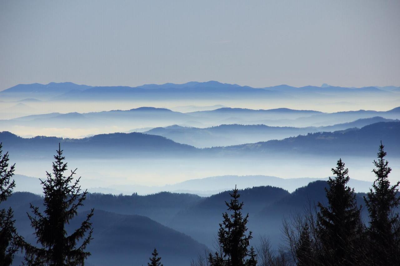 Velika Planina Chalet Slovenka Stahovica Exteriér fotografie