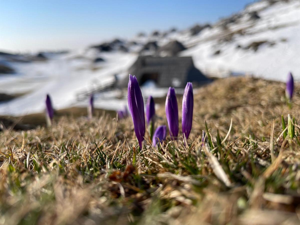 Velika Planina Chalet Slovenka Stahovica Exteriér fotografie